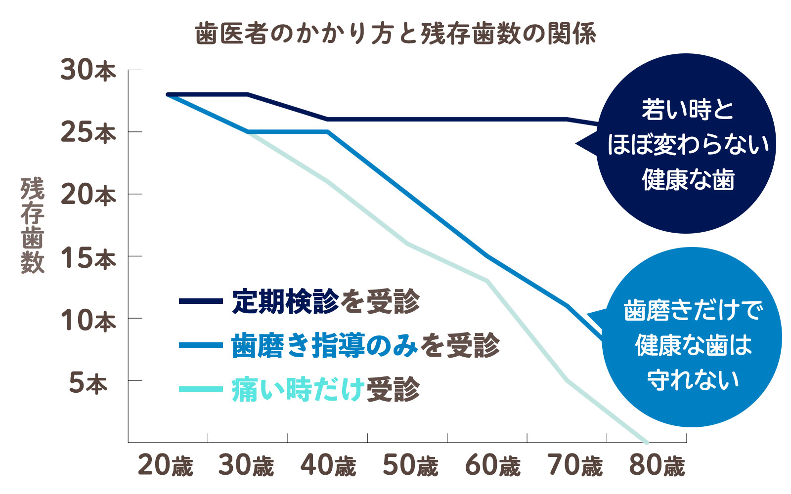 歯科医院のかかり方と残存歯数